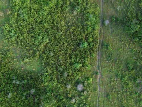 Dji 0081